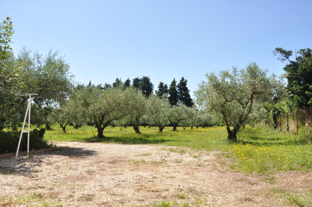 Gite Du Mas Des Oliviers Mézoargues Exterior foto